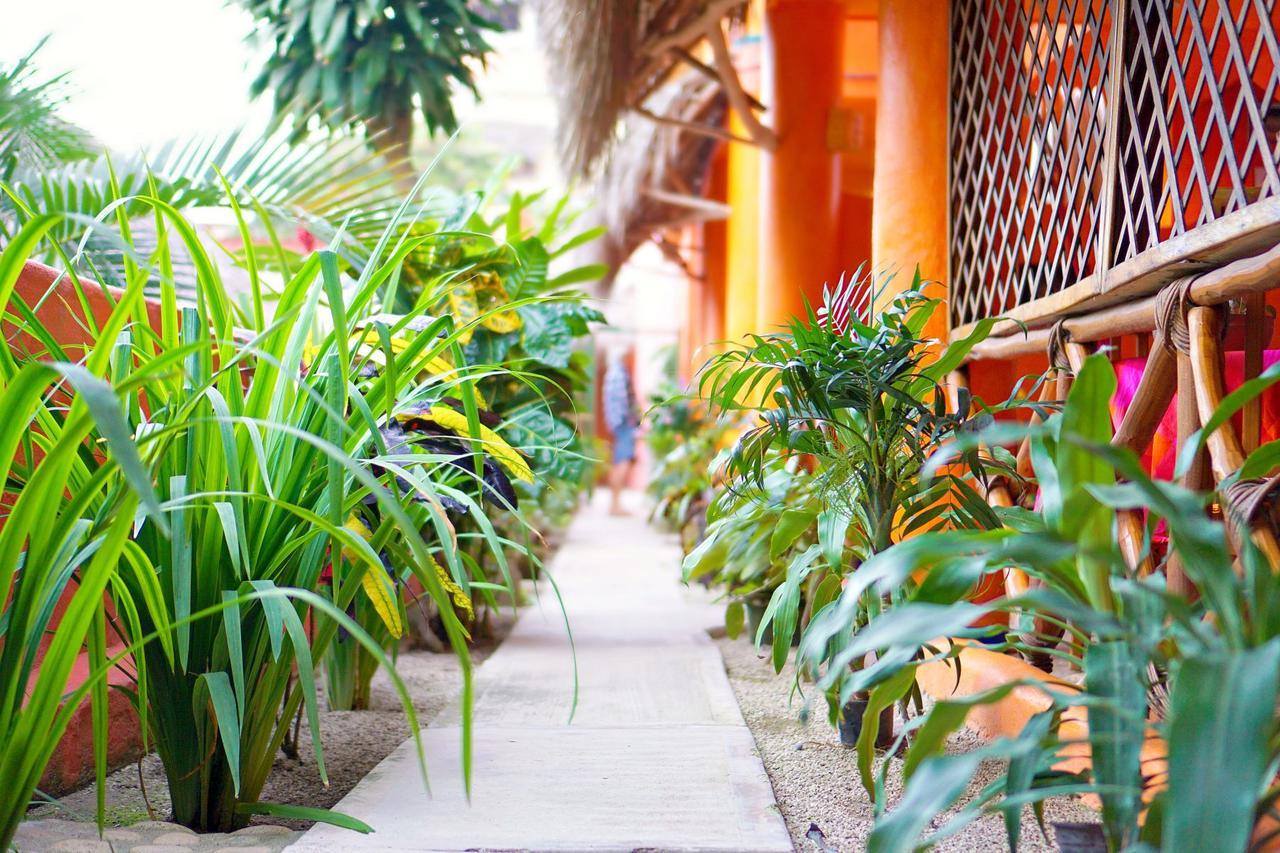 Aurinko Bungalows Sayulita Exterior foto